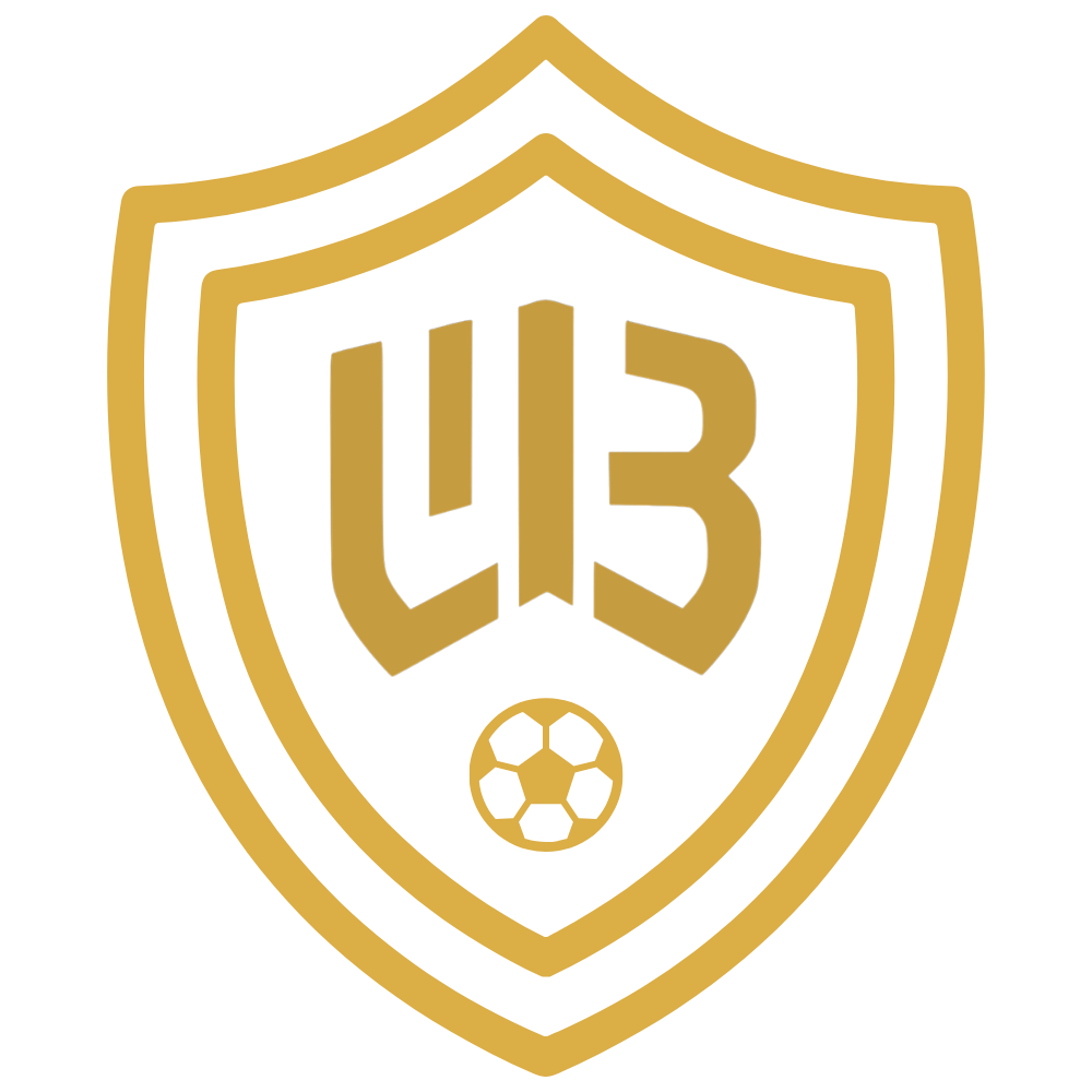WeBall Club crest
